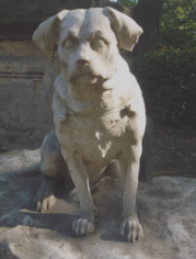 Paris-Pet-Cemetary